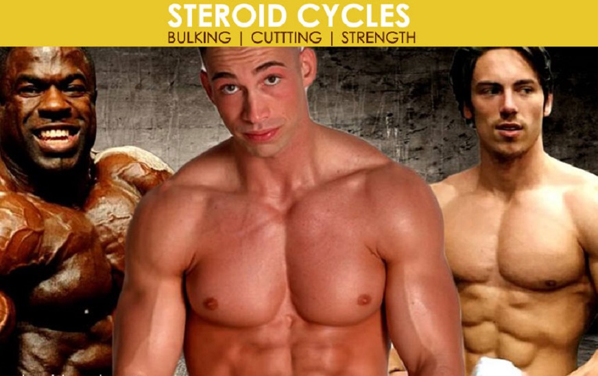 Find the Best Bulking Cycle with Positives and Negatives