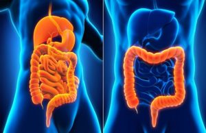 the Common Diseases of the Digestive System