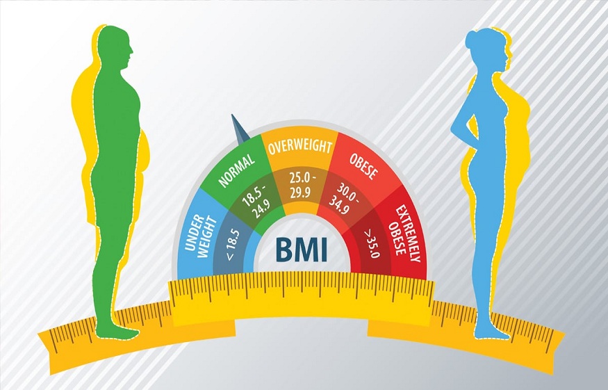Calculate Your Body Mass