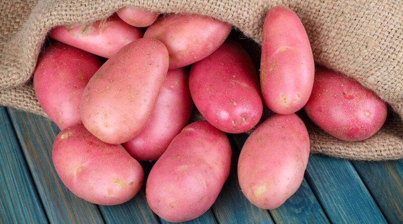 Cook Red Potatoes